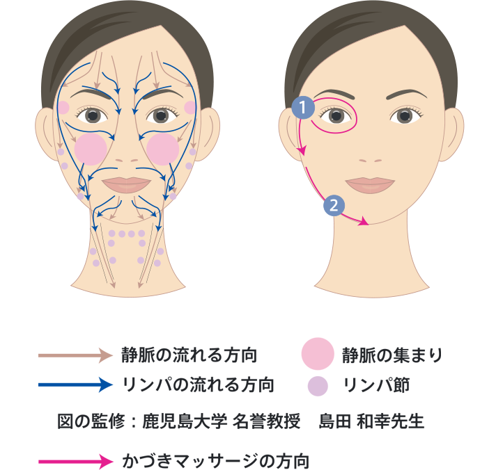 解剖学に基づいたかづきマッサージ