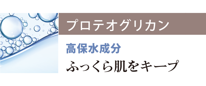 プロテオグリカン イメージ